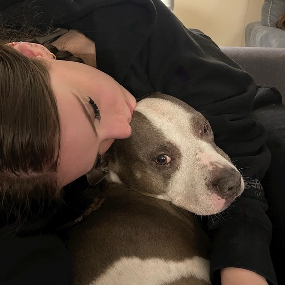 Meet your Posher, Angelina - Picture 1 of 1